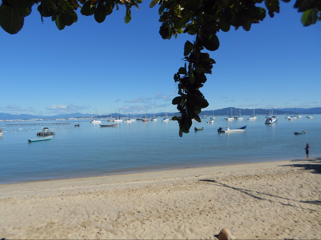 Santo Antônio de Lisboa